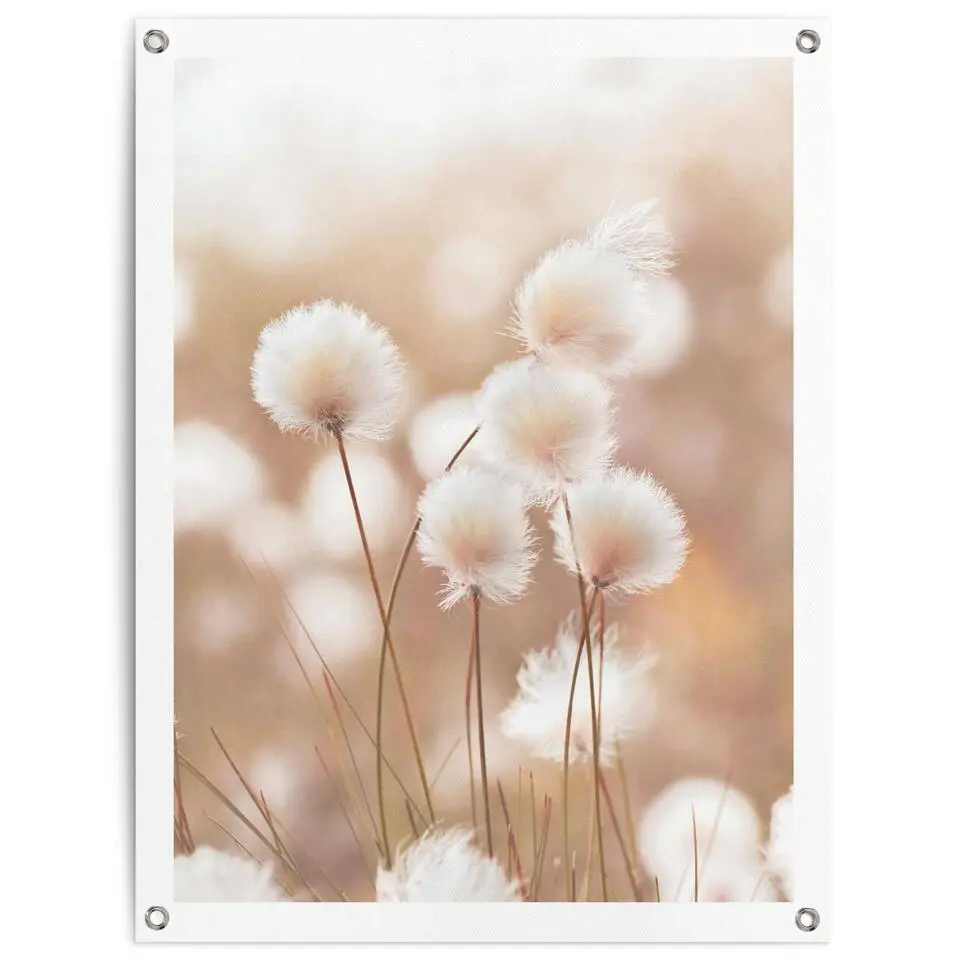 Tuinposter Katoentak - 80x60cm - Beige
