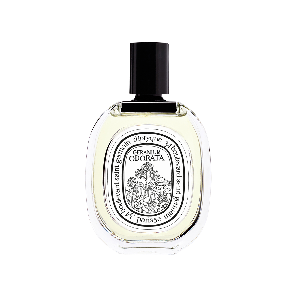 Geranium Odorata Eau de Toilette 100ml