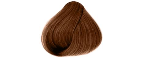 Haarcoloration Naturblond 125 mlNaturnahe Haarfarbe mit Extrakten von Goldhirse, Oliven, Birke und Traubenblättern