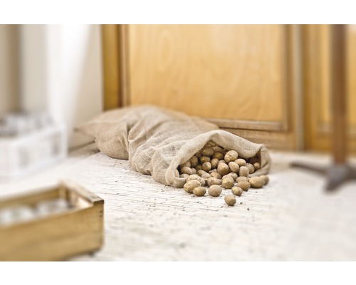 FloraSelf jute beschermzak 60x110 cm 295 g naturel
