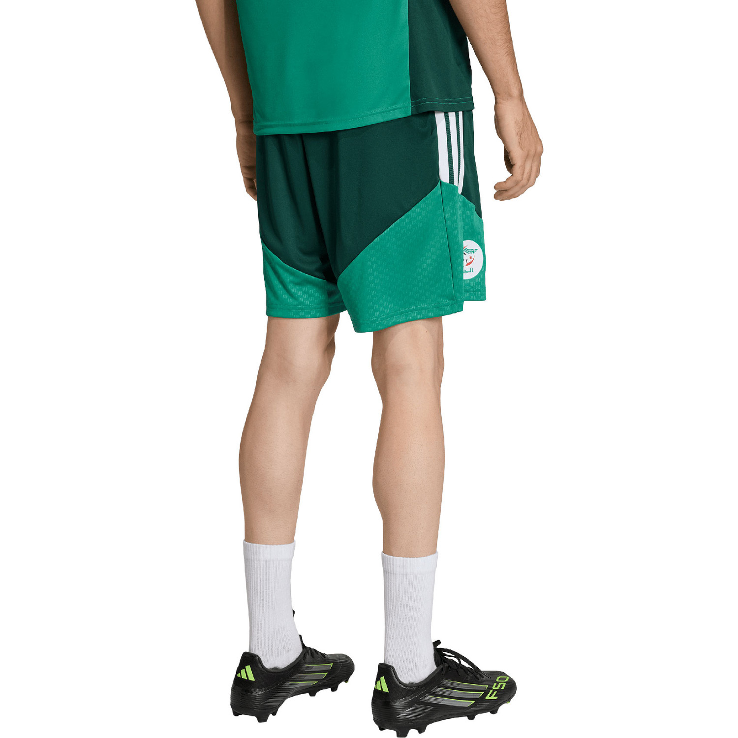 adidas Algerije Training Short WK 2026