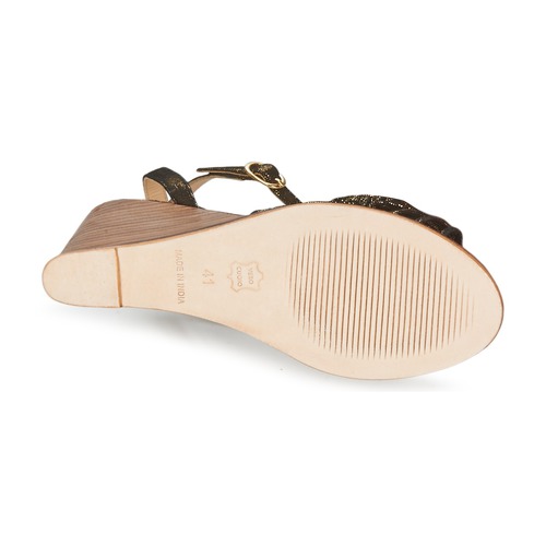 Petite Mendigote - COLOMBE Negro / Oro