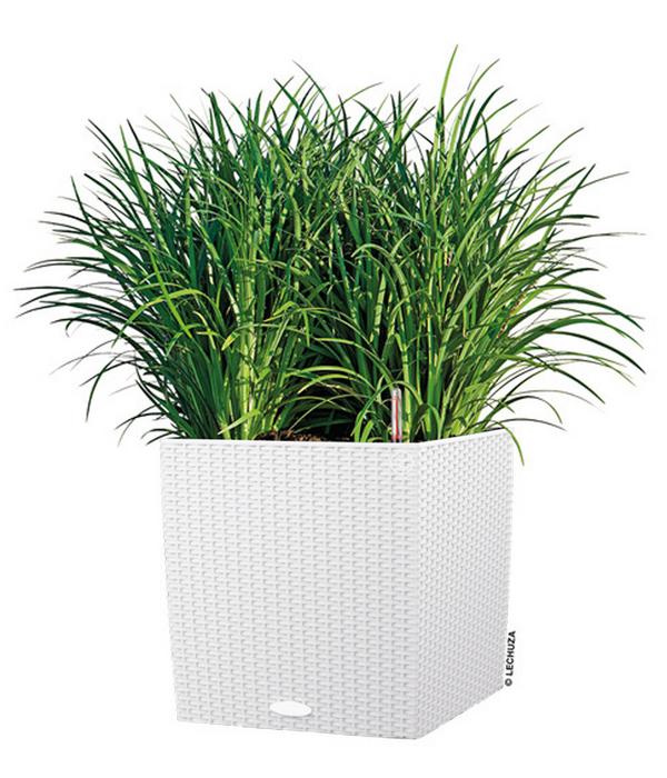 LECHUZA® Kunststoff-Topf Cube Cottage,