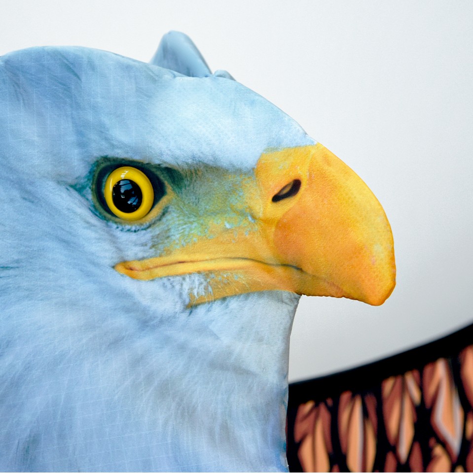 3D Eagle Kite