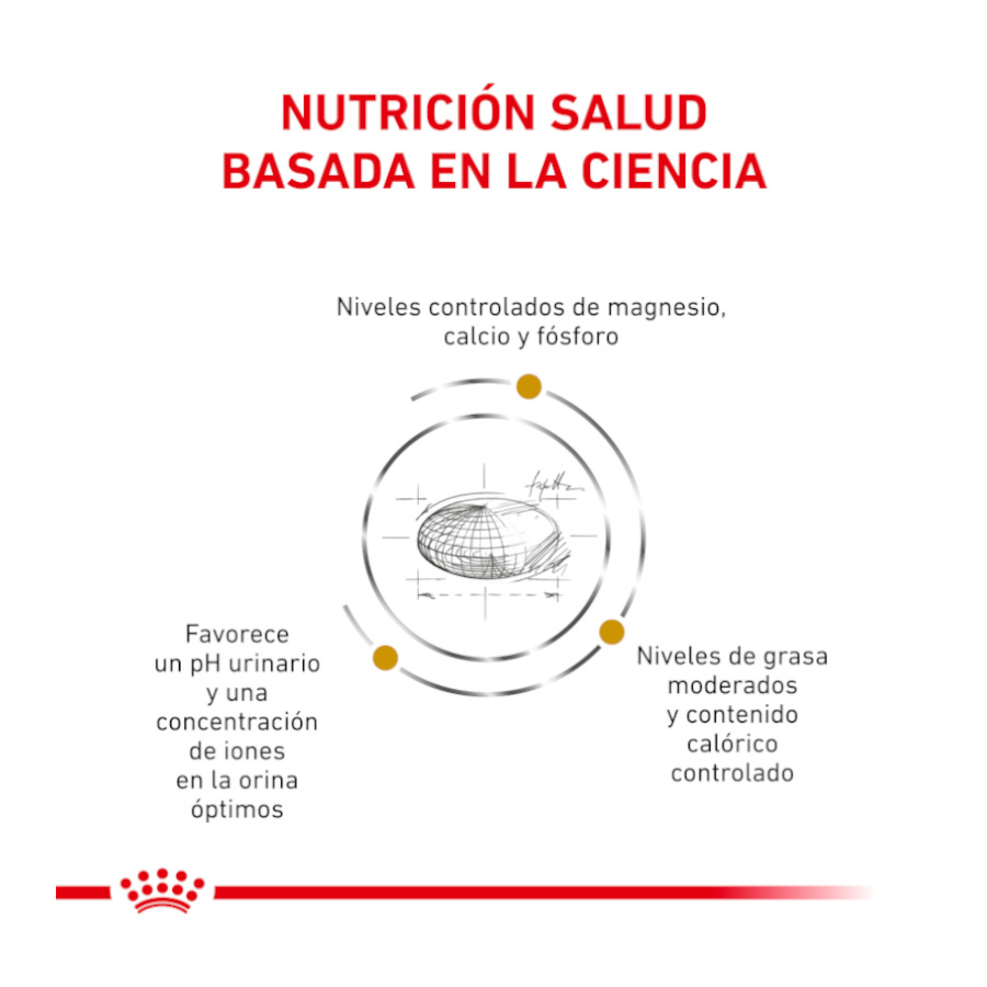 Sachês Royal Canin Veterinary Urinary Moderate Calorie para gatos