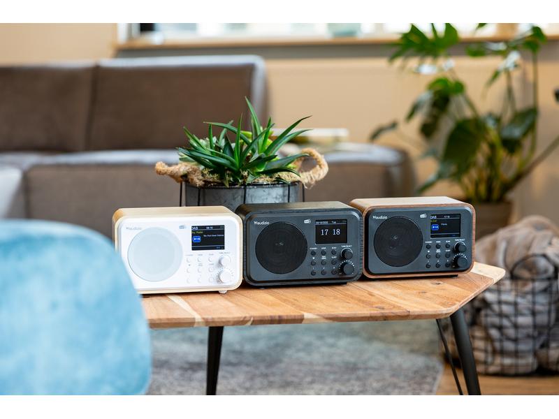 Audizio DAB  Radio Milan Weiss DAB  Radio mit Bluetooth