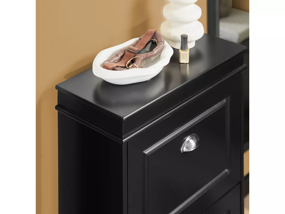 Meuble de Rangement à Chaussures Armoire à Chaussures Commode à Chaussures 2 abattants, FSR78-SCH