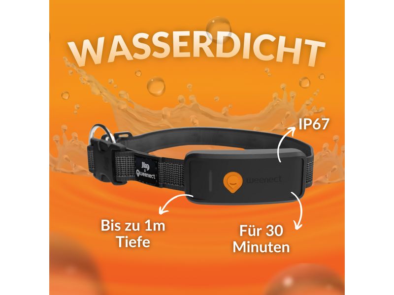 Weenect GPS-Tracker für Hunde XT mit Halsband schwarz Verstellbares Halsband mit Tracking-Funktion