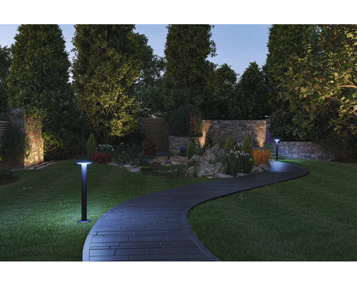Paulmann Plug & Shine LED-paalverlichting 5,5 W 200/420 lm 3000-6500 KH 60 cm plaat RGBW kleurveranderend Zigbee antraciet 230/24 V