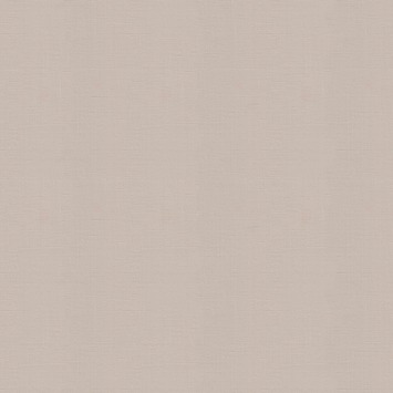 Vliesbehang uni taupe (dessin 103475)