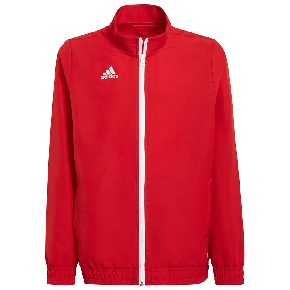 jaqueta adidas Entrada 22