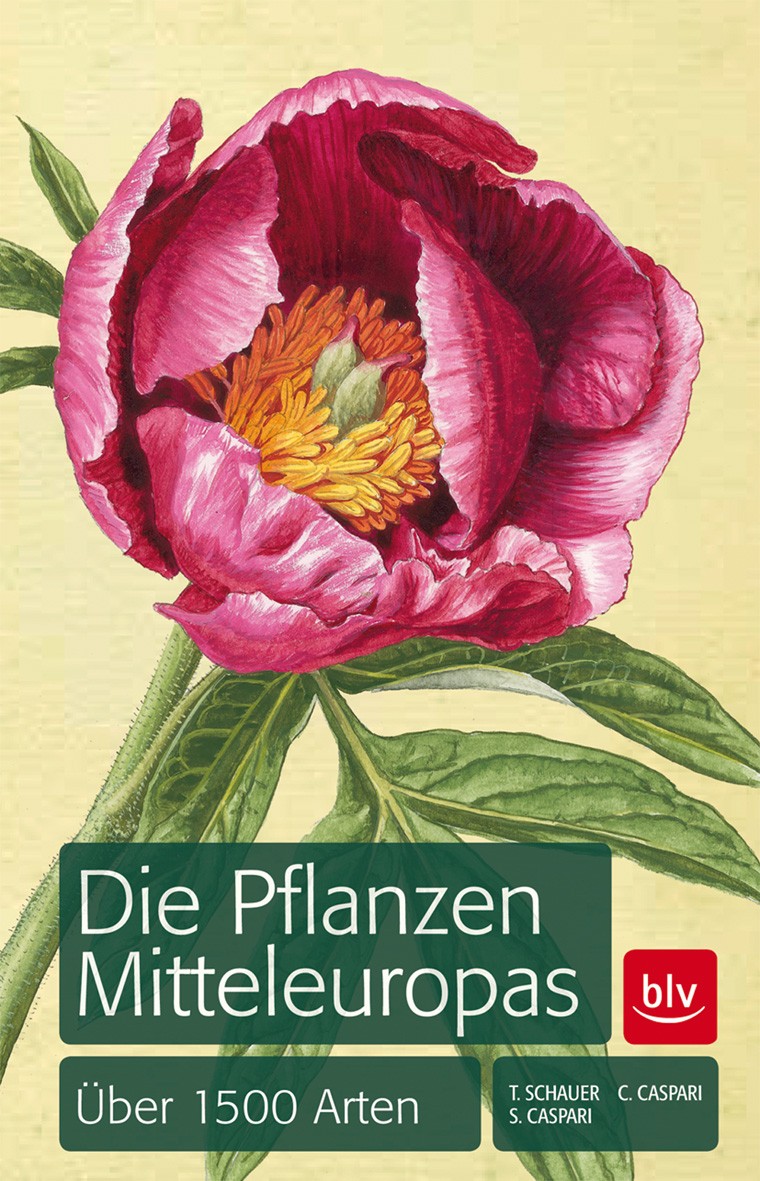 Buch 'Die Pflanzen Mitteleuropas', über 1500 Arten günstig bestellen