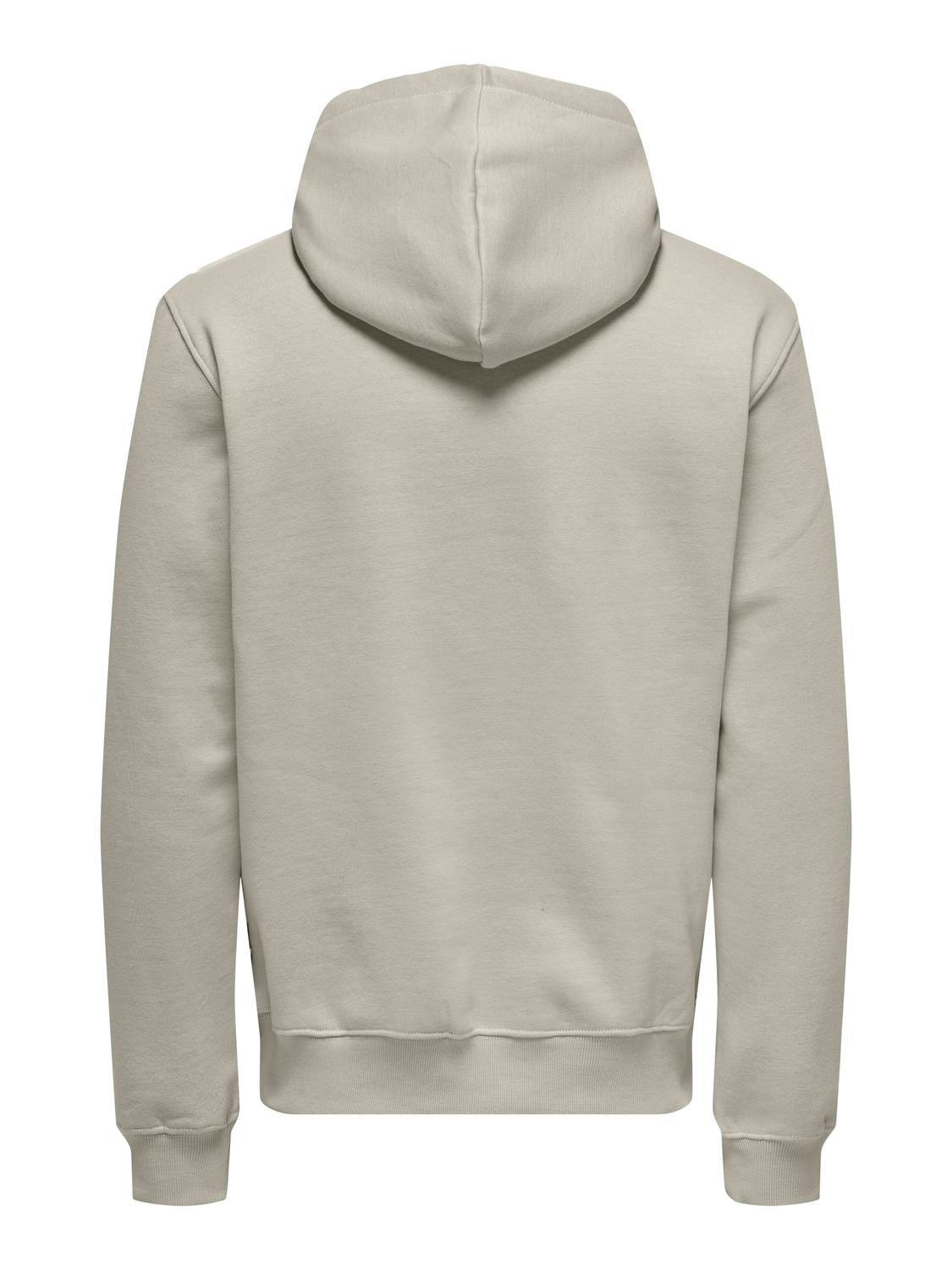 ONSCURATED Sweatshirt Silver Lining
