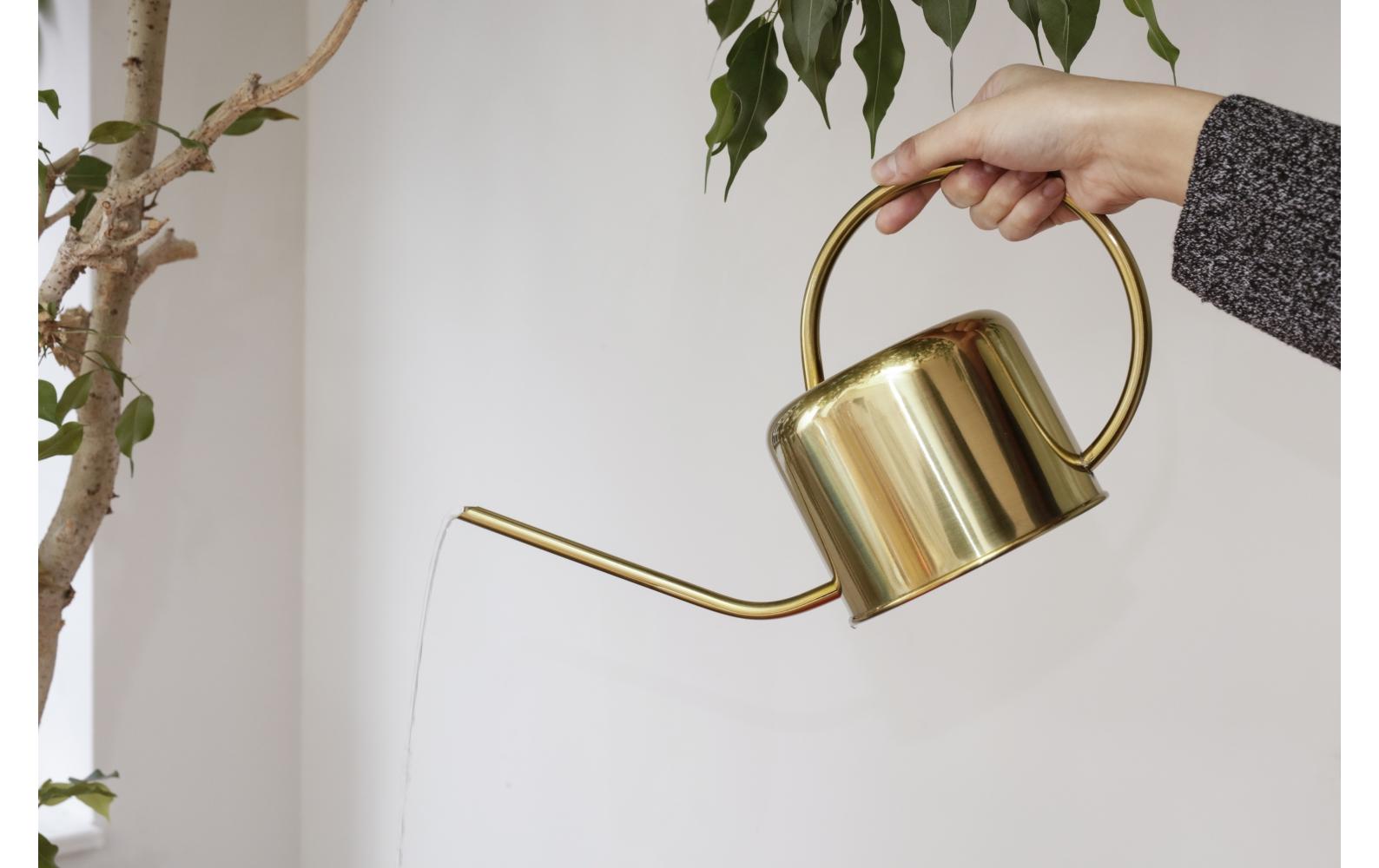 Giesskanne Vintage GoldGiesskanne aus Stahl