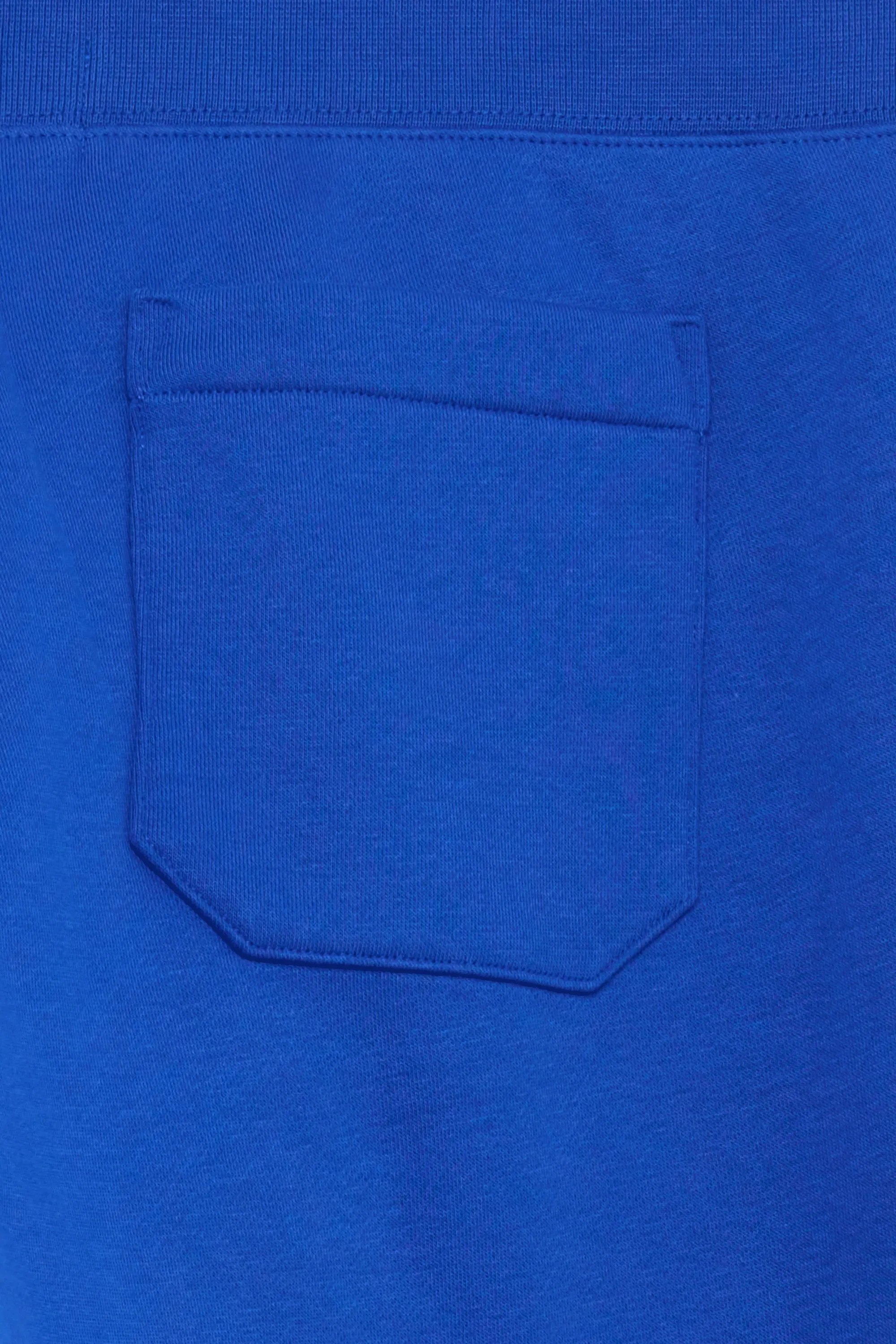 POLO RALPH LAUREN Jogging Polo Sport Fleece Jogger Pant Bleu
