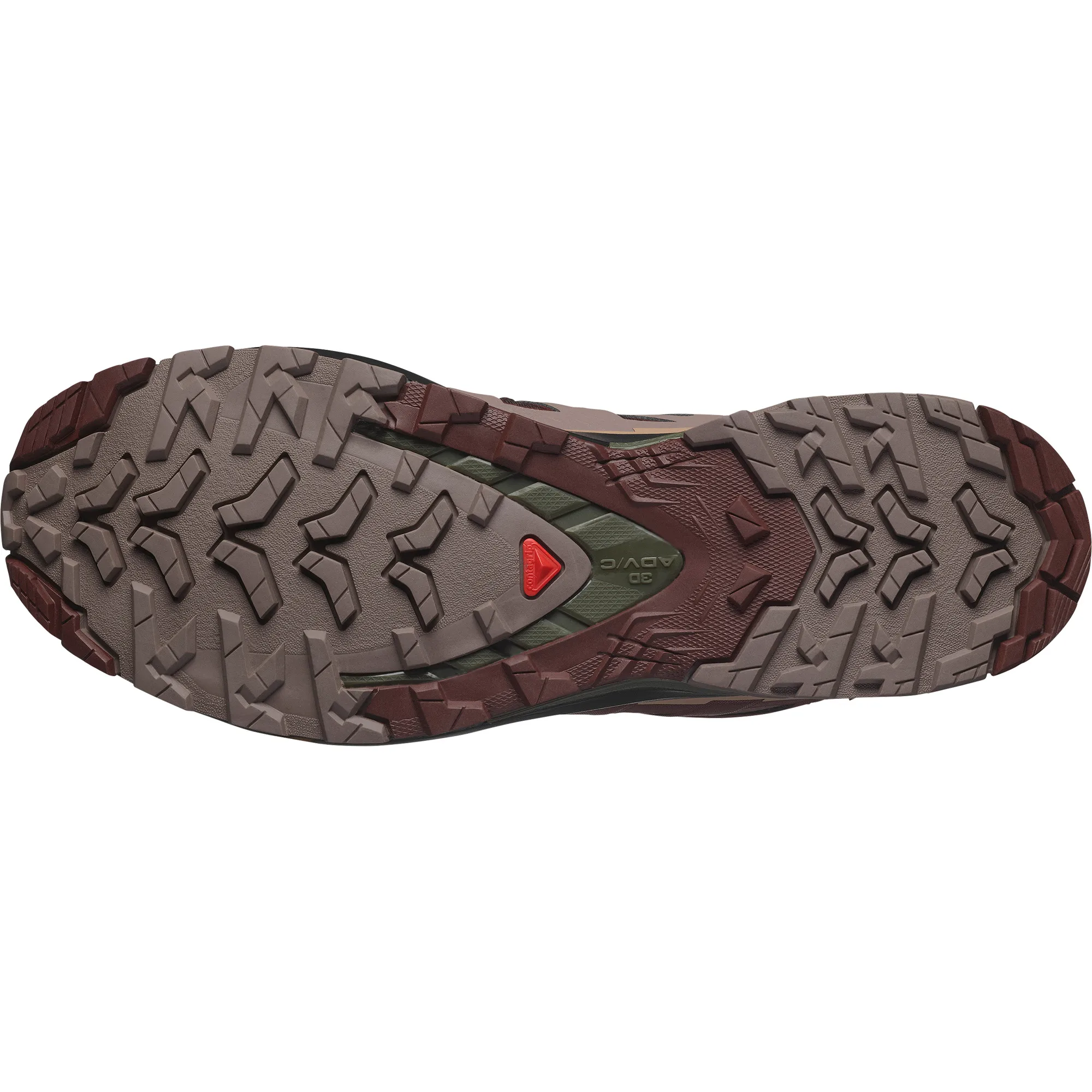 Salomon Men's XA Pro 3D V9 GORE-TEX Black Coffee/Rum Raisin/Olive Night