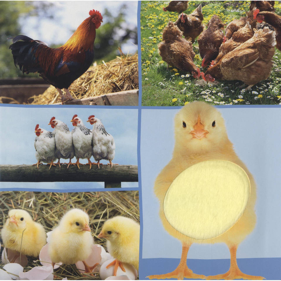 Welk dier hoor ik hier? boerderijdieren geluidenboek