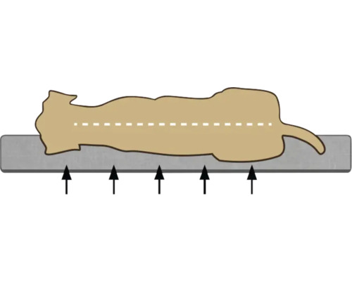 Beeztees Orthopedisch Hondenkussen Ito 121 x 78 cm Donkergrijs