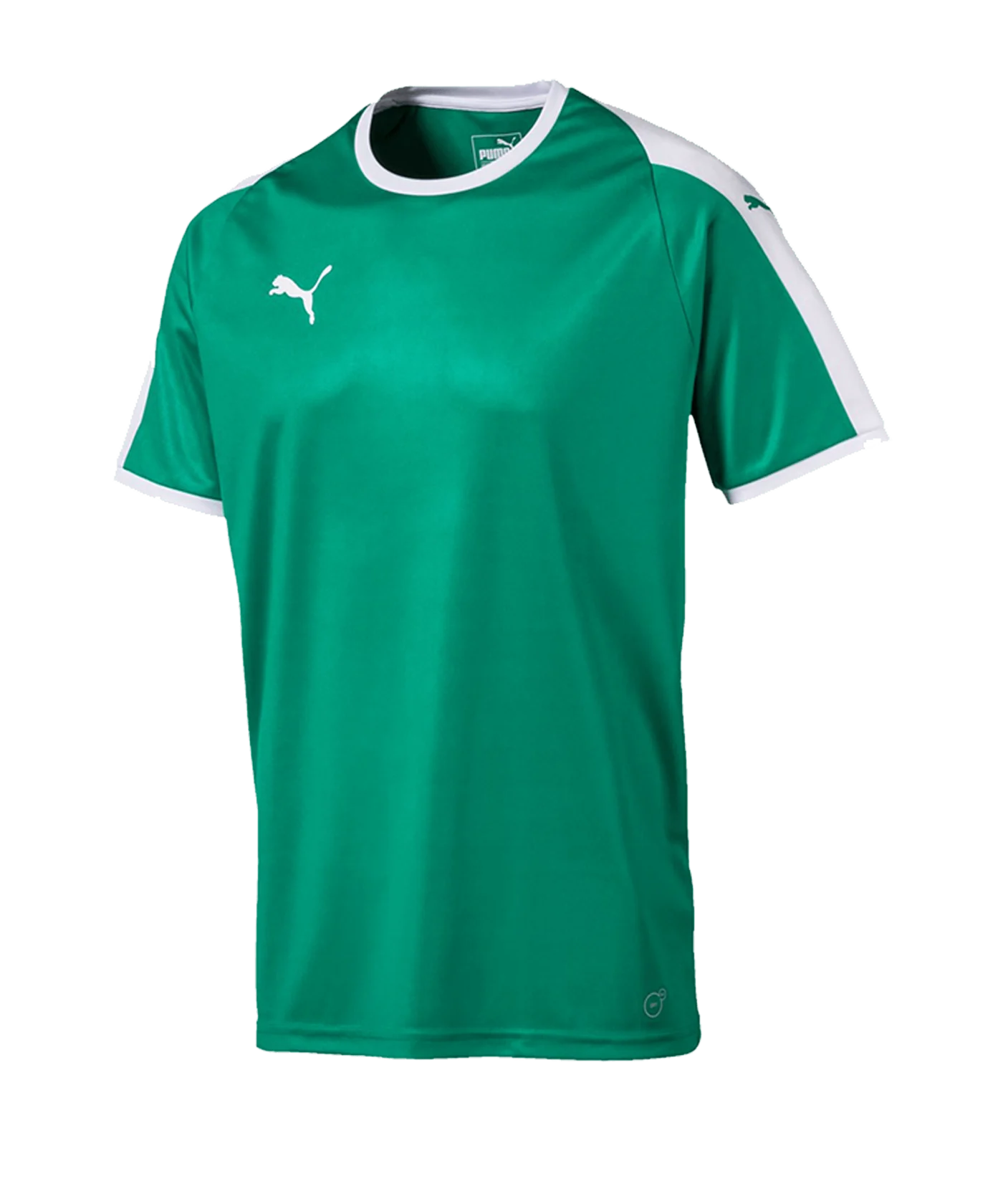 PUMA LIGA Trikot kurzarm Grün Weiss F05