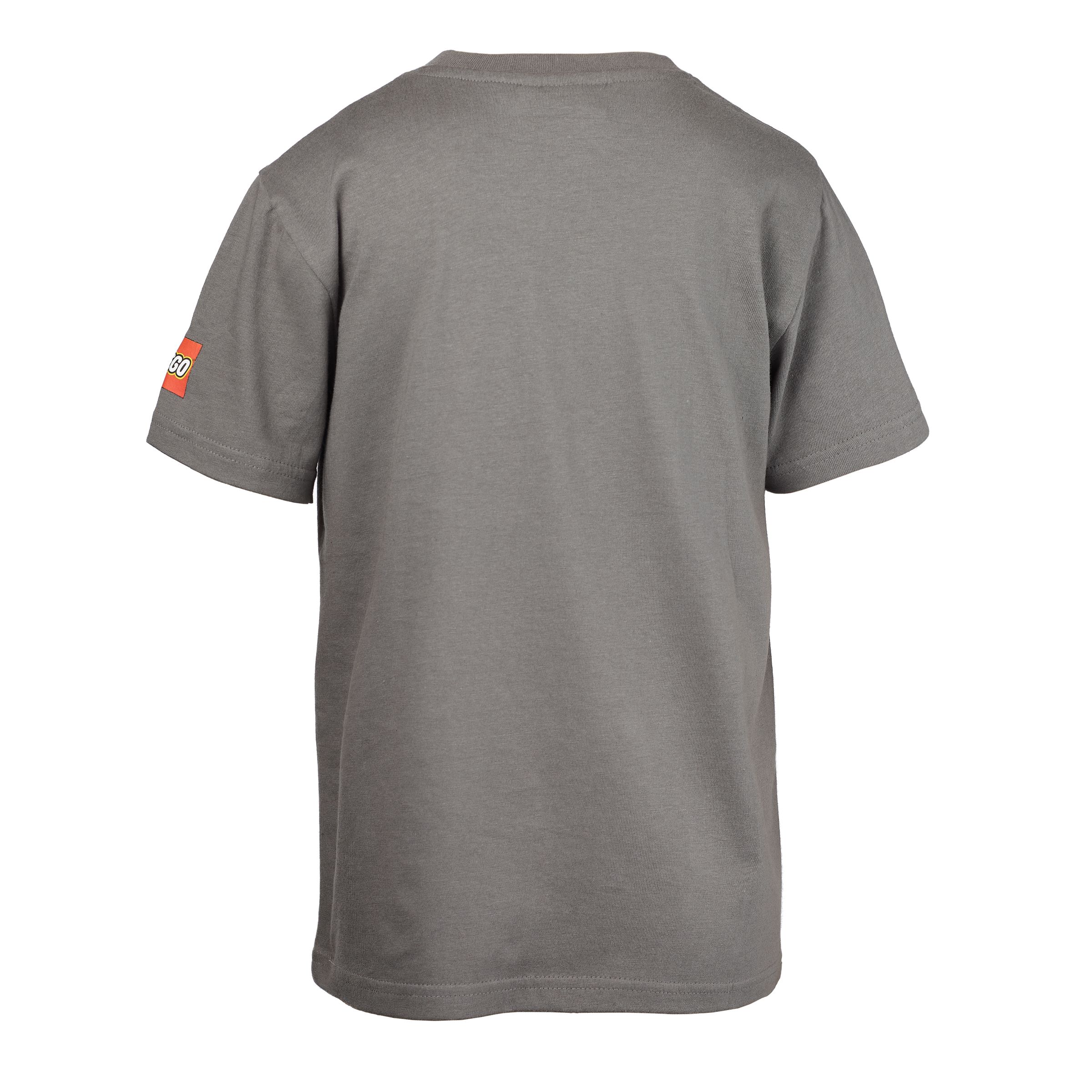 Camiseta Harry Potter™ – Cinza 5008033