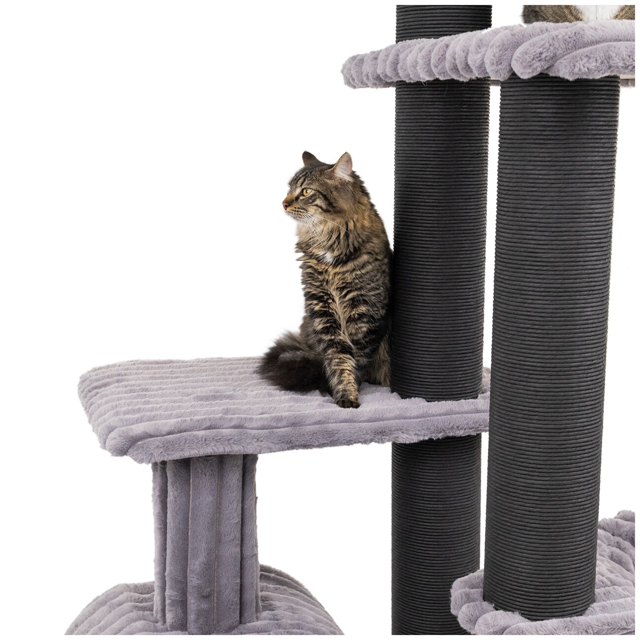 Canadian Cat Company Kratzbaum Barrie