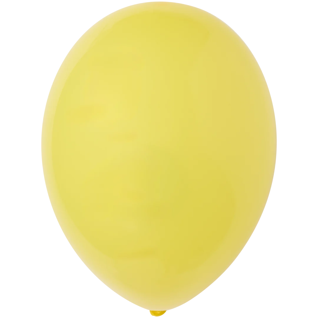 Ballonnen 25 stuks | diverse kleuren