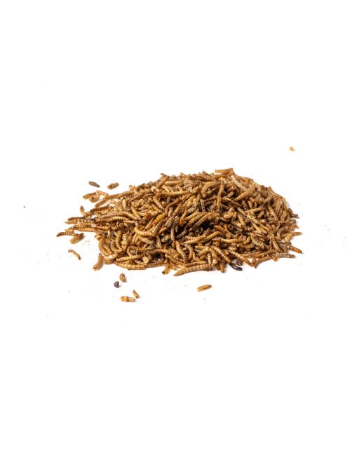 Voerwaarts Meelwormen - Kippenvoer - 900 g
