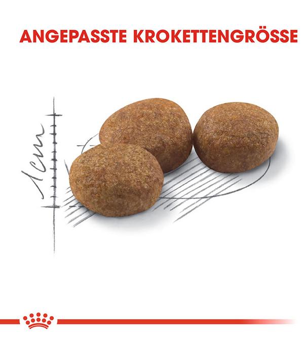 ROYAL CANIN® Trockenfutter für Katzen