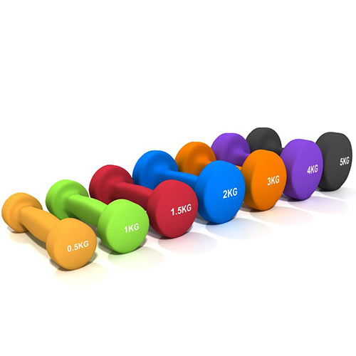 FITNESS DOCTOR Paire Haltères Vinyle