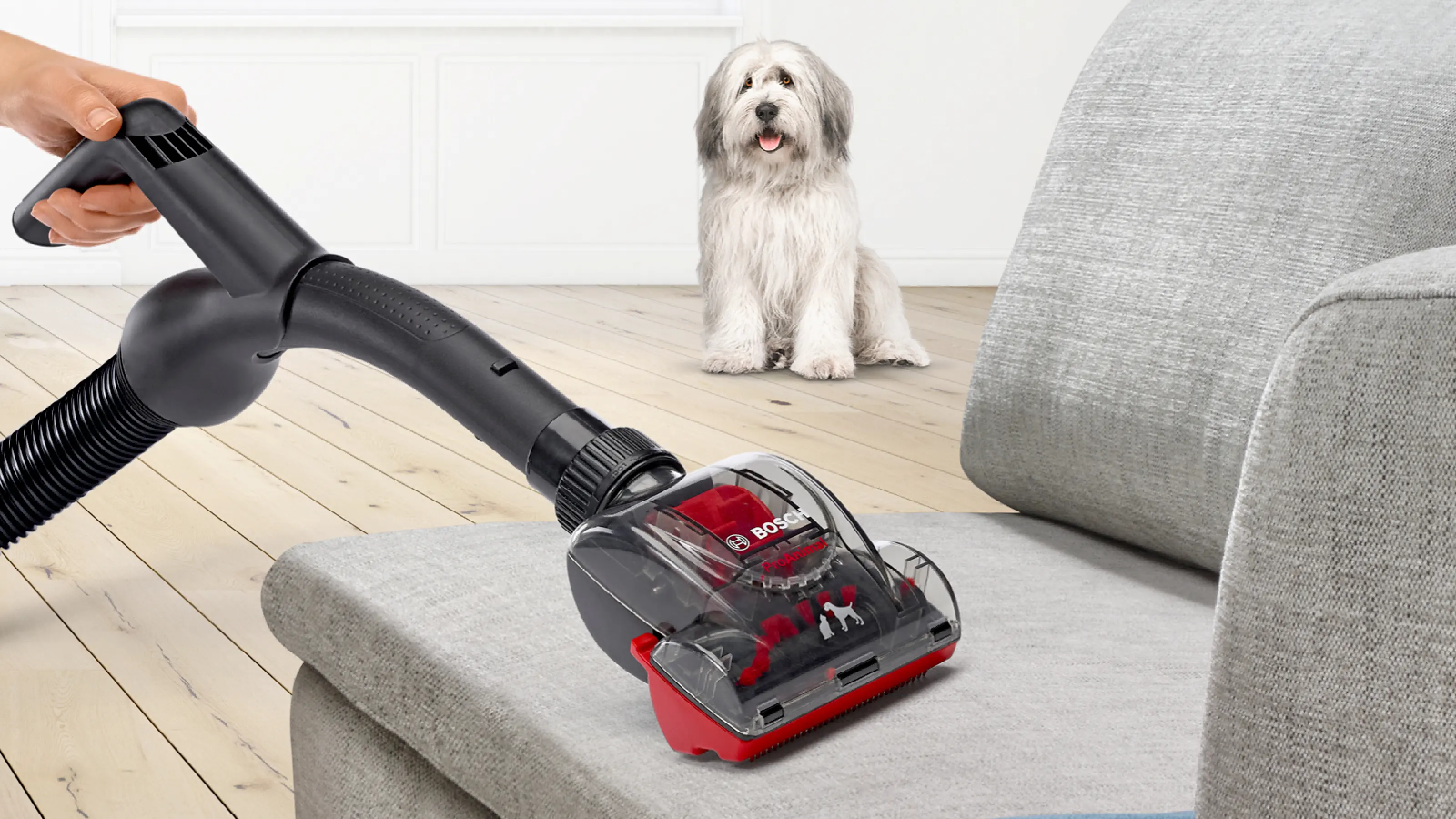 Serie 6 Stofzuiger zonder zak ProAnimal Rood