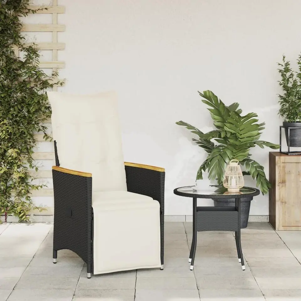 vidaXL - Tuinstoel - Zwart - Poly rattan