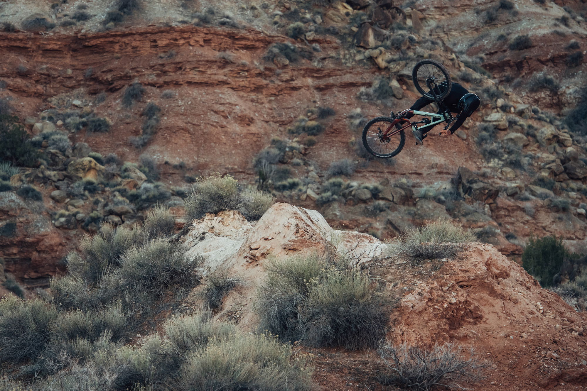 Rocky Mountain Slayer Carbon 50 Mullet