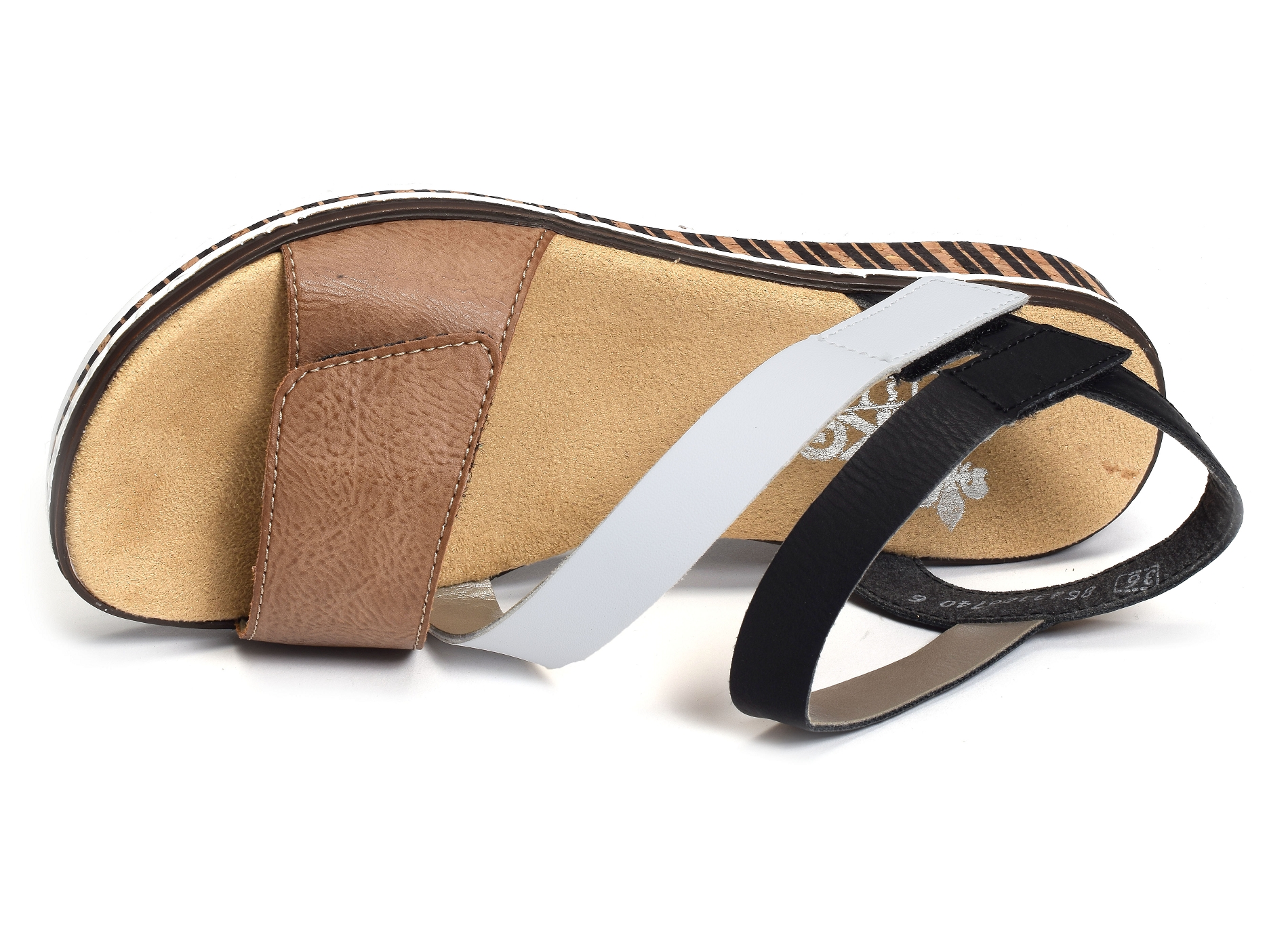 V3670 blanc marron