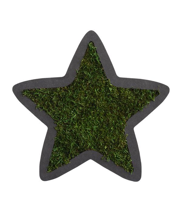 styleGREEN Stern aus Waldmoos, ca. B26/H26/T2