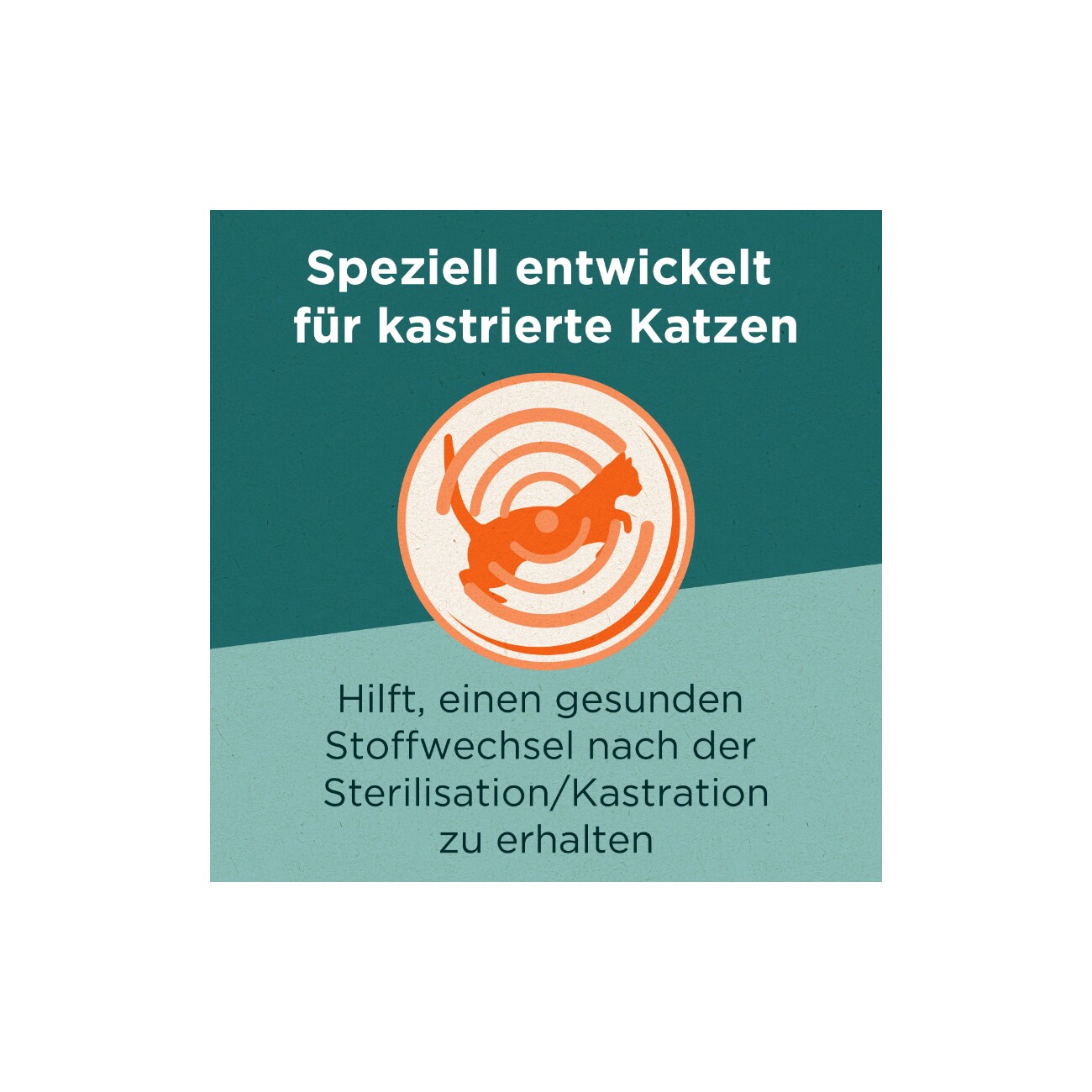 Purina ONE DualNature Uribalance mit Cranberry Sterilised 650 g