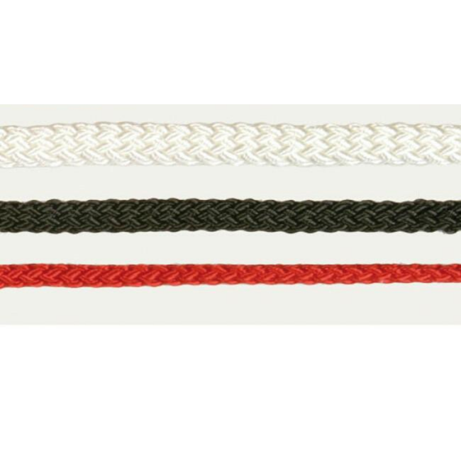 Laisse collier de présentation pour chien