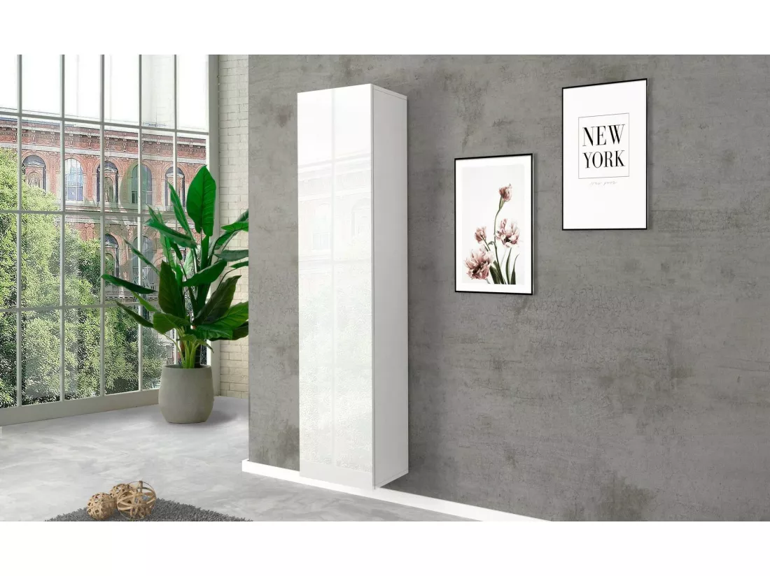 Armoire polyvalente Dgrassi, Étagère à chaussures avec 1 porte et 4 étagères, Armoire multifonctionnelle, 100% Made in Italy, 40x30h180 cm, Blanc brillant