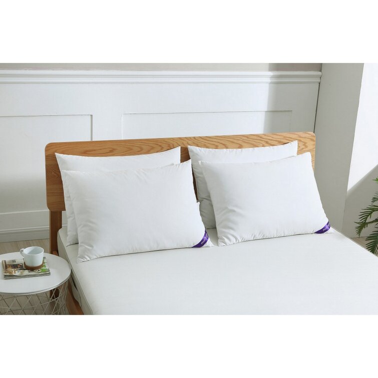 Astra Feathers Plush Pillow