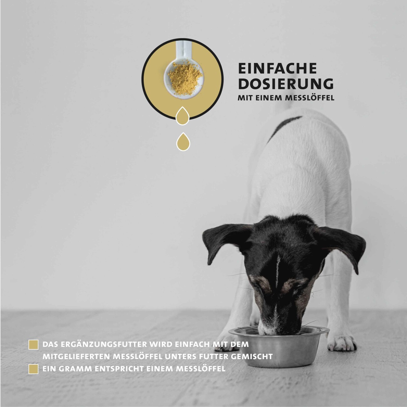 Peticare Ergänzungsfutter Fell & Haut Pulver für Hunde 125g
