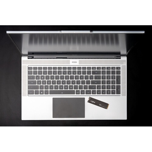 SSD interne Crucial P310 2280 500GO