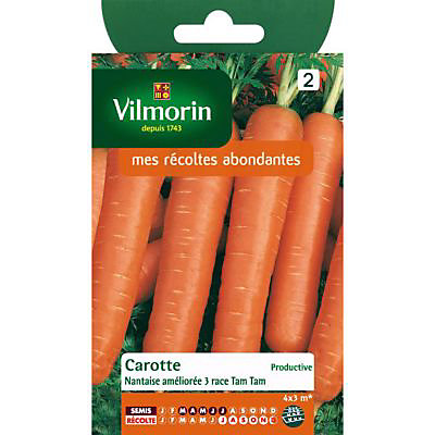 Graines de Carotte Nantaise Améliorée 3 Tam Tam