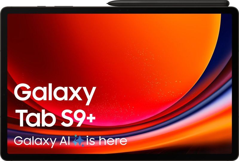 Samsung Galaxy Tab S9 Plus - WiFi - 256GB - Graphite