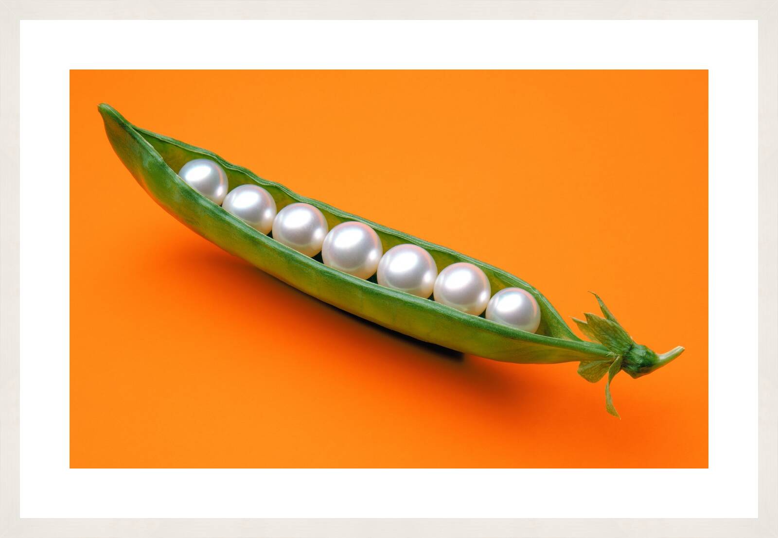 Pearls in a Pod by James Wojcik - Limited Edition. Edition of: 150. Signed.