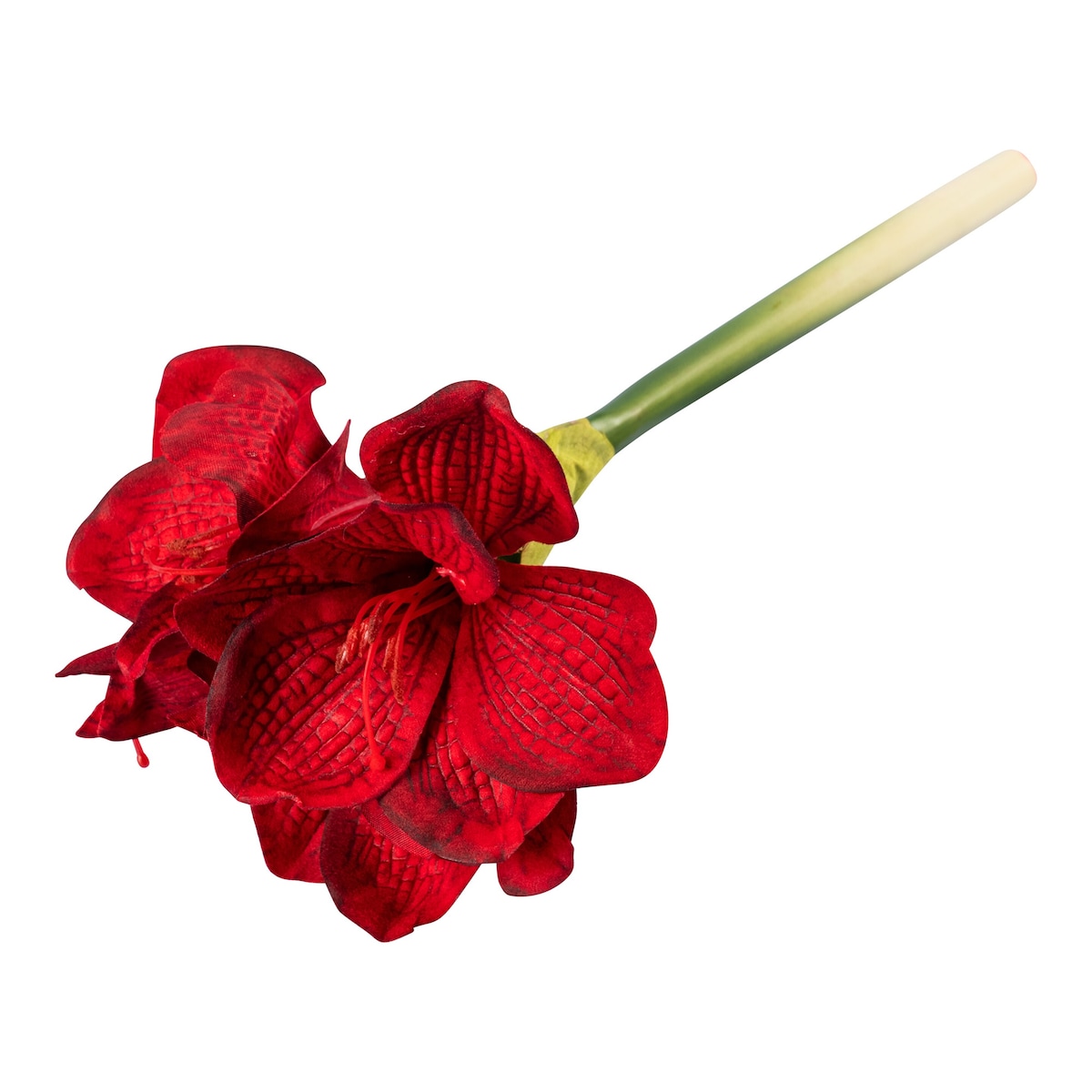 Deko-Amaryllis, 1 Stück