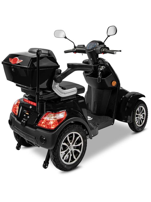 Elektroroller Theo 25 mit BG Akku