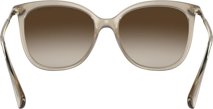 Polo Ralph Lauren sunglasses Shiny transparent brown