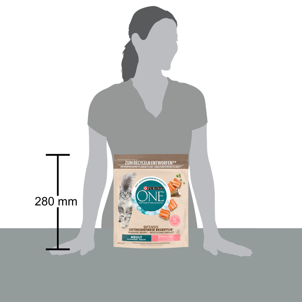 Purina ONE Adult Zalm Graanvrij600 gr