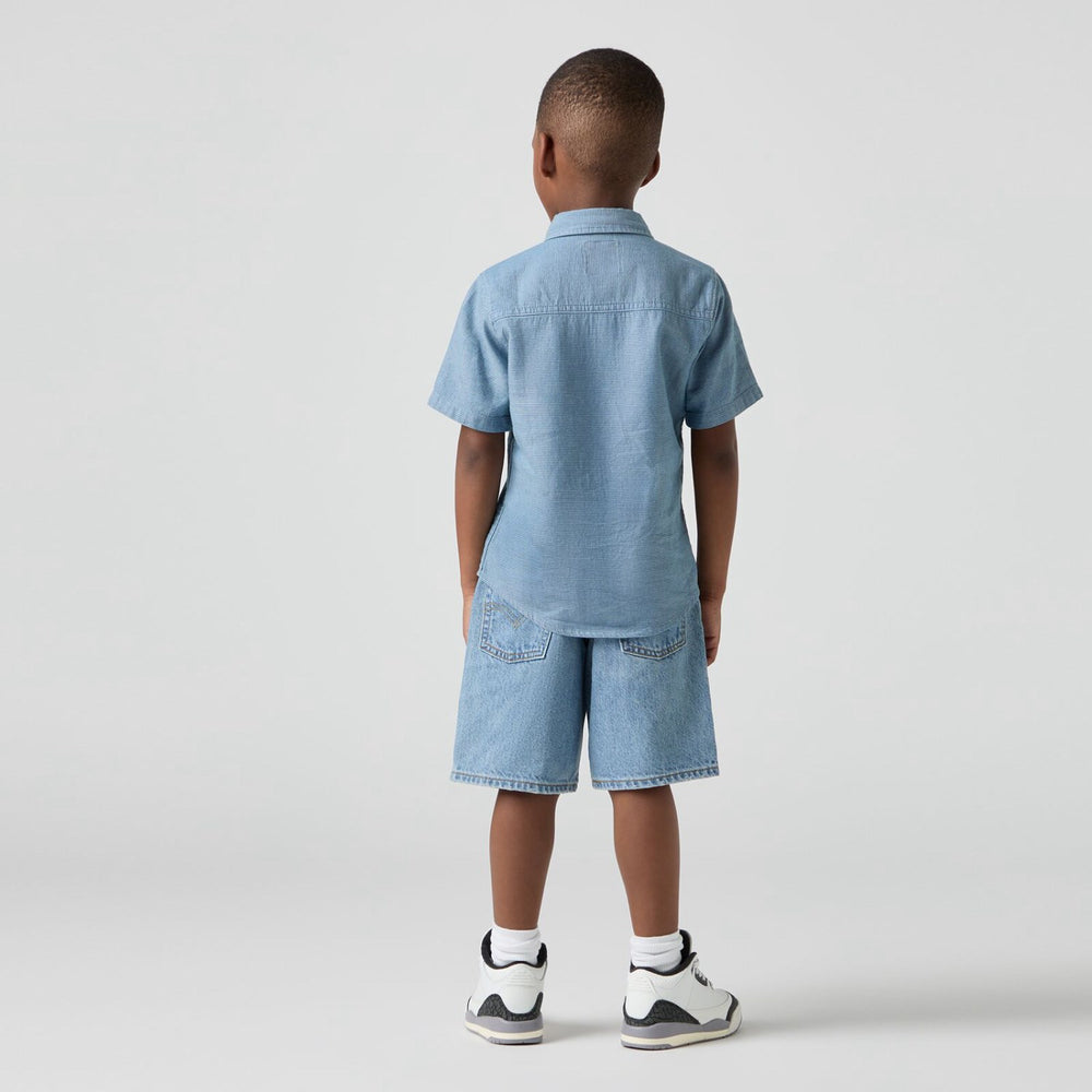 Køb Levi's From Scratch No Destruction Lvb Skate Shorts