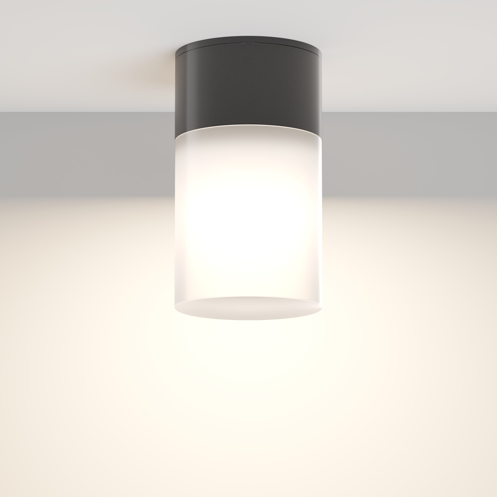 Maytoni Outdoor - Plafondlamp Willis - Zwart - Ã8