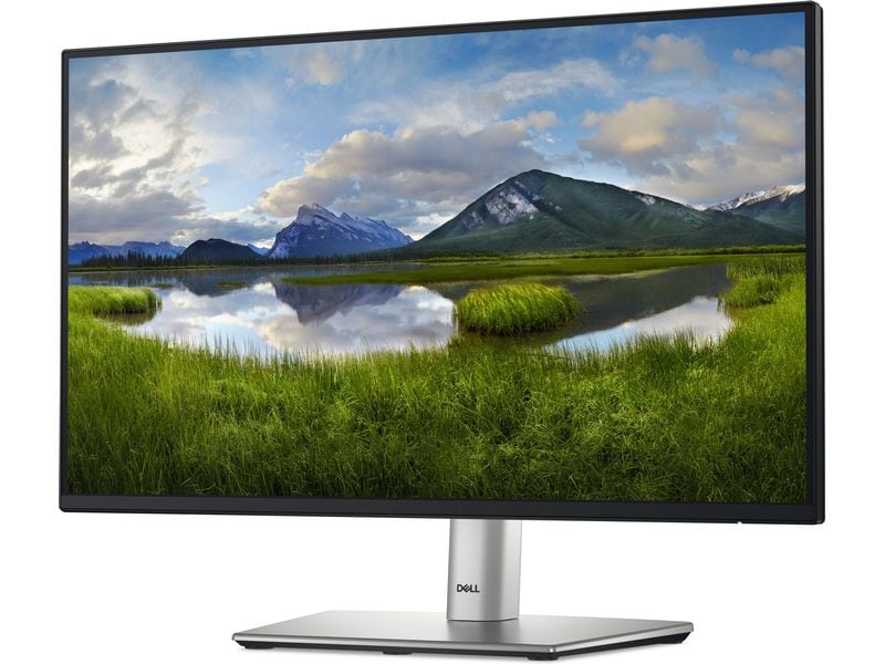Dell Monitor P2225H Ergonomischer 21.5